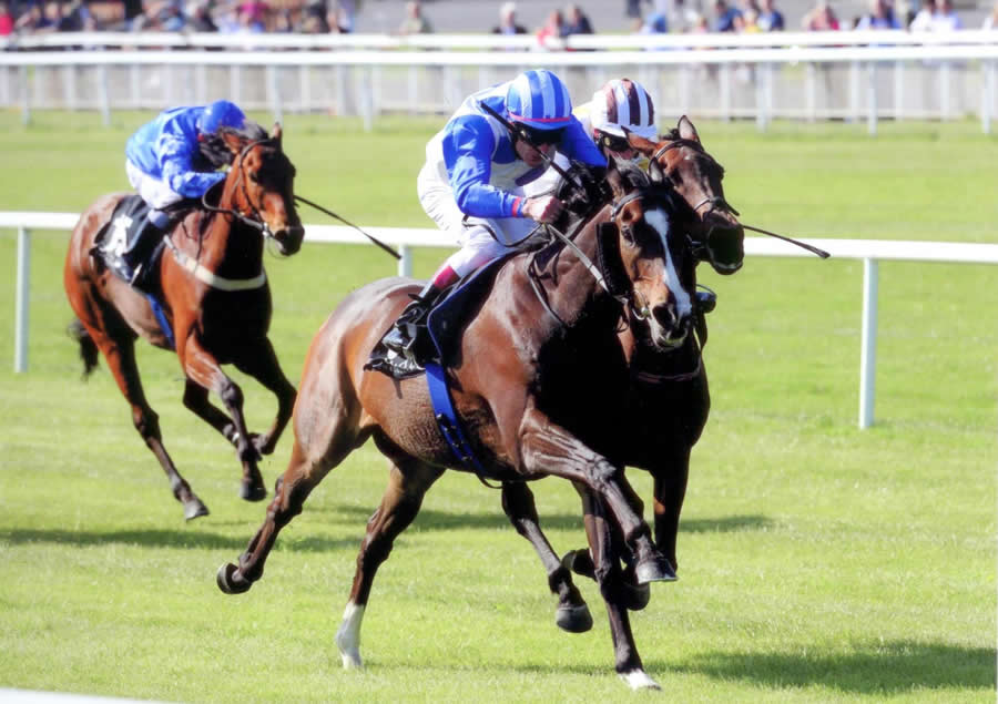 Casbah Rock Curragh 2nd May 2011